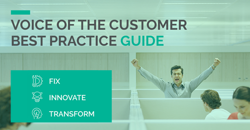 Best Practice Guide Voice of the Customer